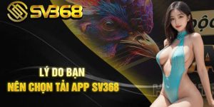 Lợi ích khi tải app SV368