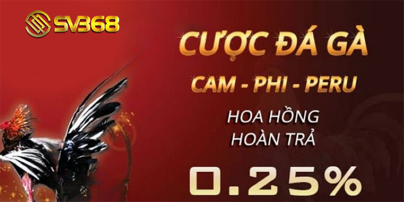 Loại hình cá cược đá gà SV368